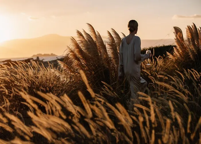 Ammothines Cycladic فندق 5*