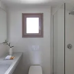 Ammothines Cycladic Apartment *