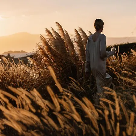 Ammothines Cycladic 호텔 5*