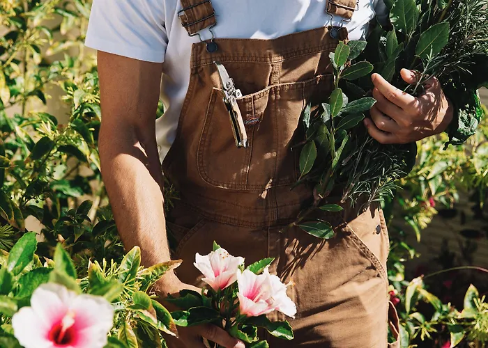 Ammothines Cycladic Hotel 5*